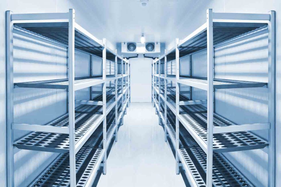 Features to Look for When Installing a Commercial Cold Room - Burton  Industries