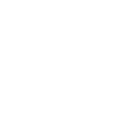 Burton_Icon