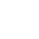 Burton_Icon